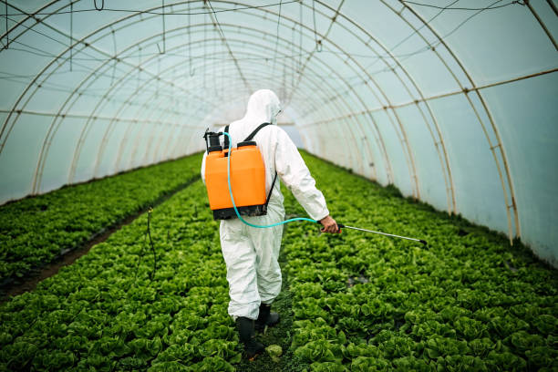 Best Emergency Pest Control  in Alpine, CA